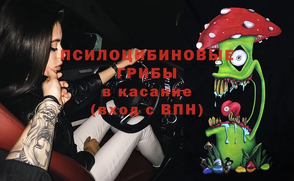 мяу мяу мука Арсеньев