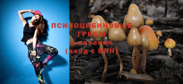 мяу мяу мука Арсеньев